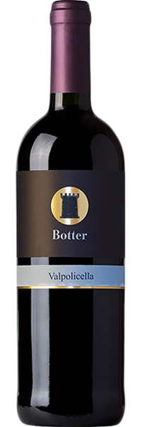 2009 Botter Valpolicella 1.5 liter фото